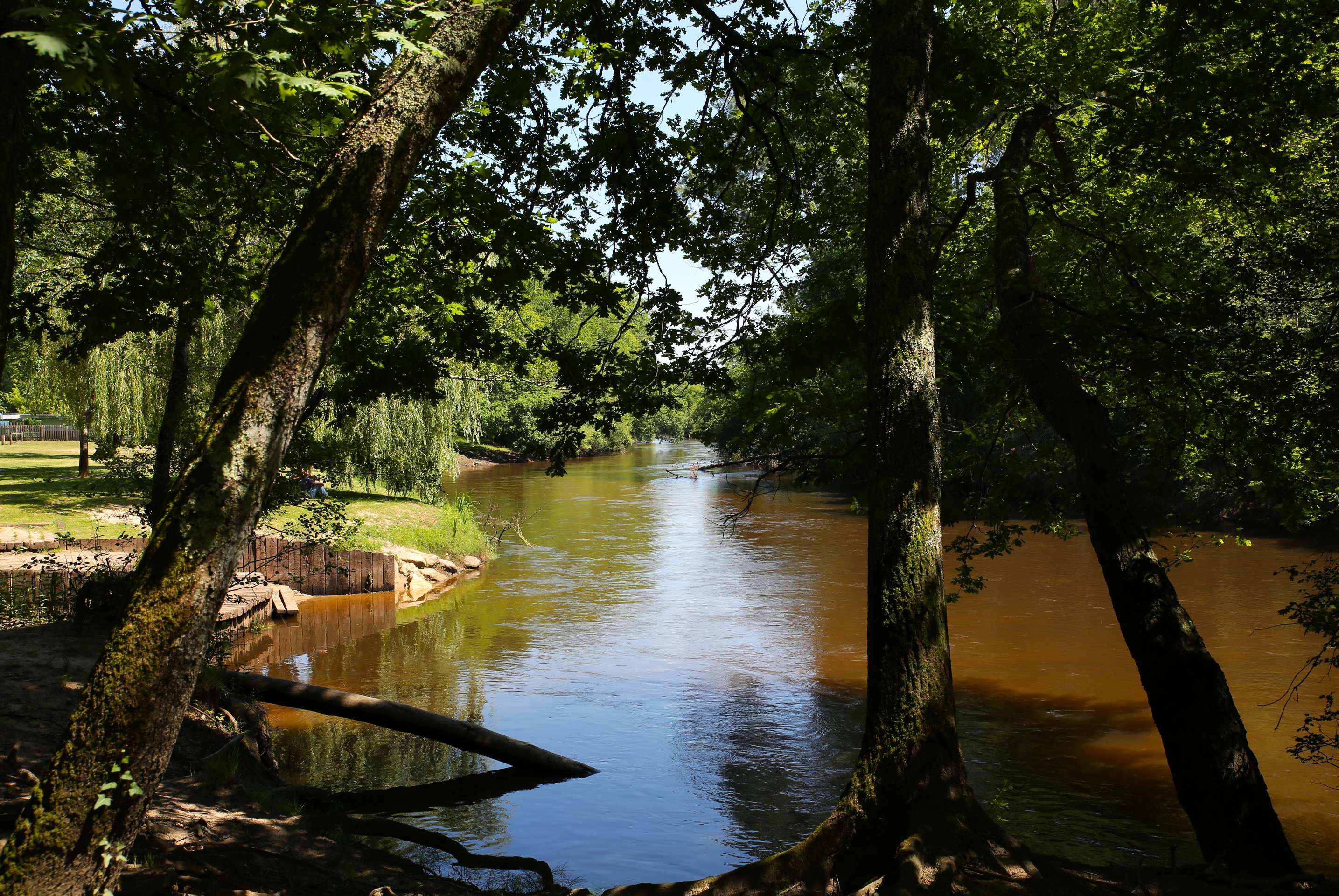 Bassin d'Arcachon