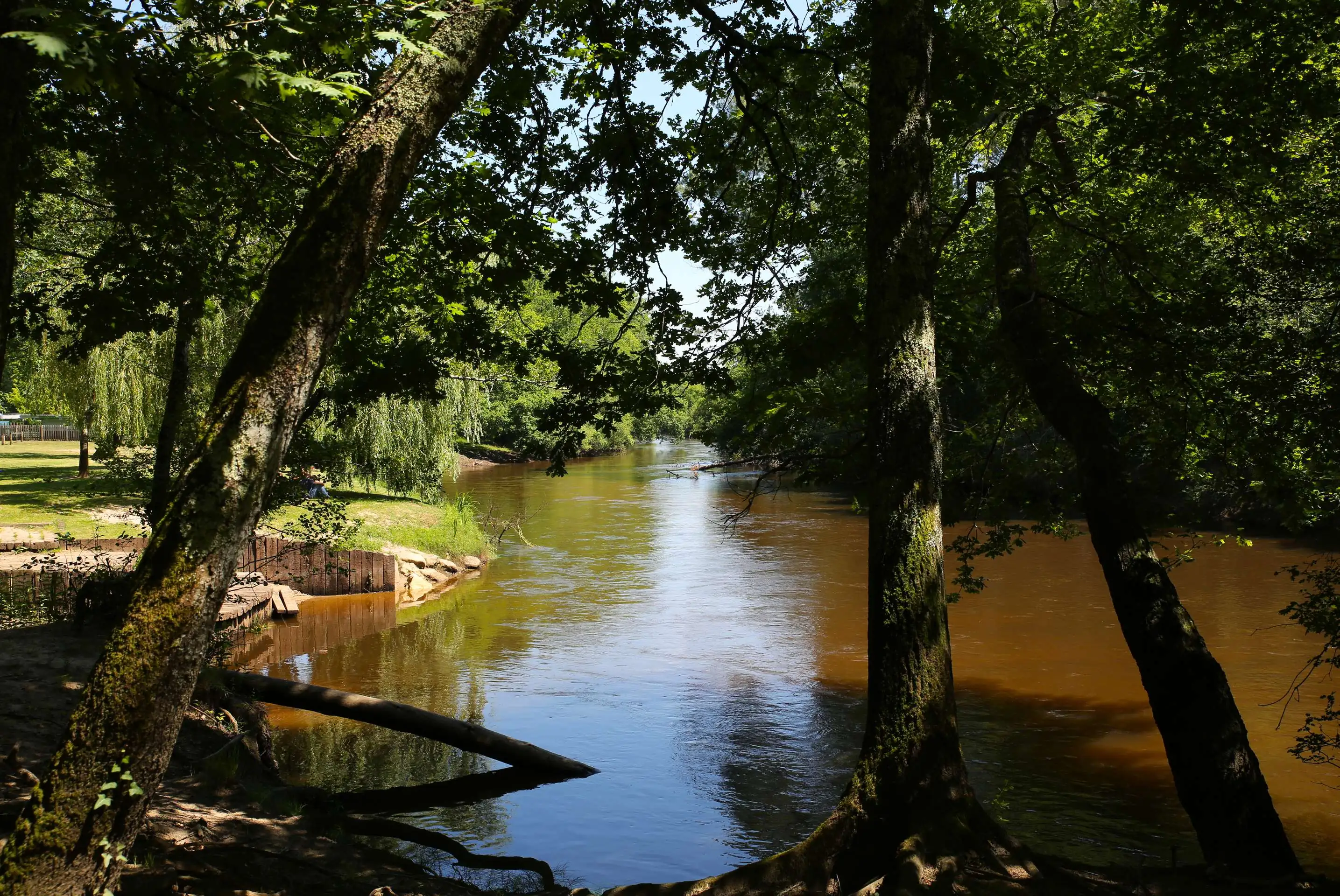 Bassin d'Arcachon